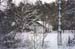 lesniczowka